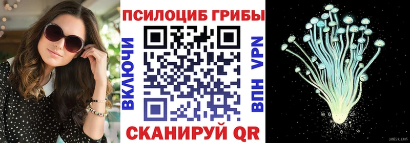 hydra ONION  Строитель  Галлюциногенные грибы Psilocybine cubensis  где можно купить  